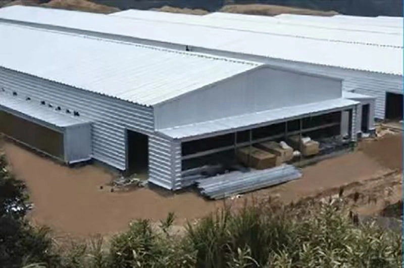 Steel structure  warehouse